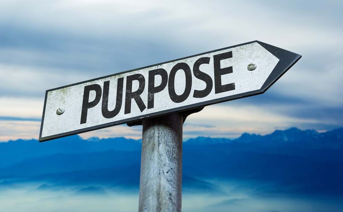 are-you-searching-for-your-life-purpose